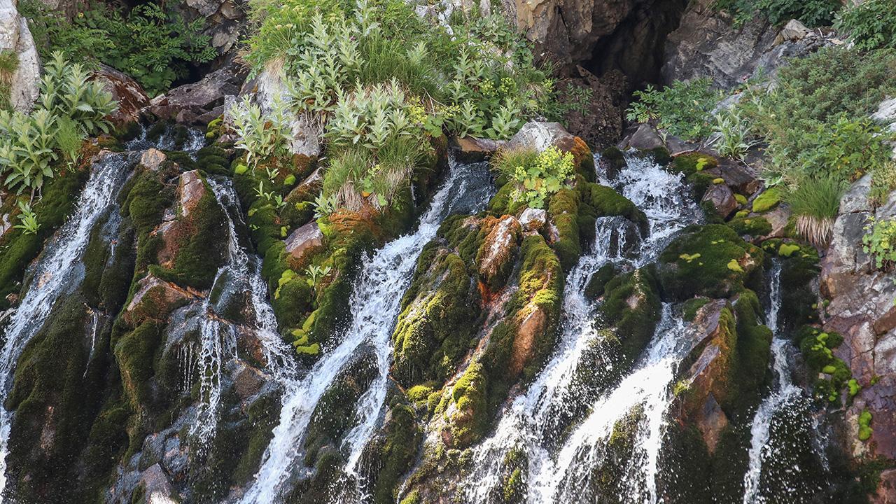 Resmi Gazete yayımlandı! Flaş Bursa kararı: Korumaya alındılar Resmi Gazete yayımlandı! Flaş Bursa kararı: Korumaya alındılar