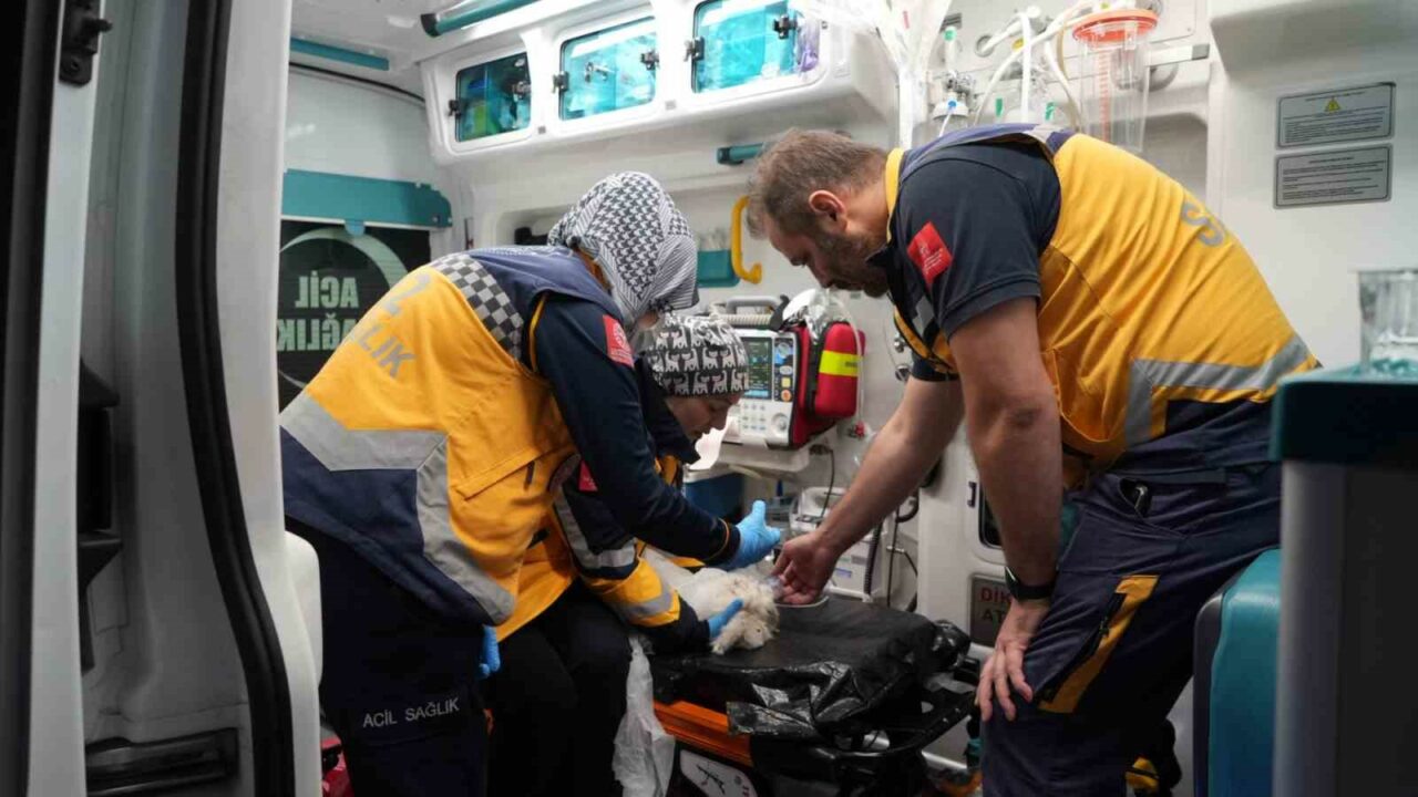 Bursa’daki yangında yürekleri ısıtan görüntüler Bursa’daki yangında yürekleri ısıtan görüntüler