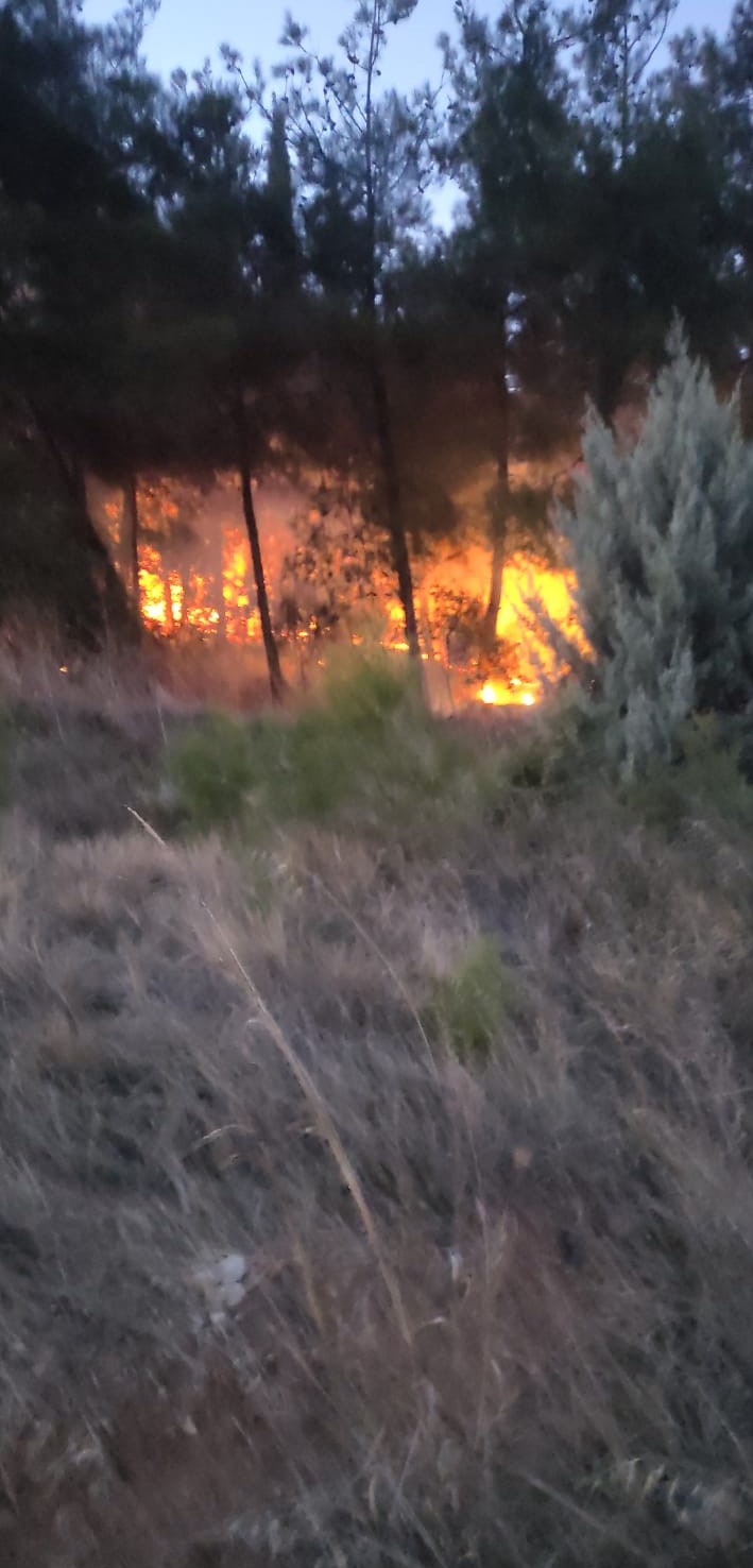 Bursa’da korkutan yangın