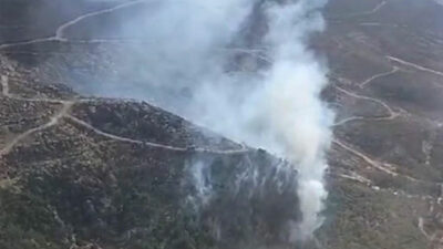 İzmir’de orman yangını