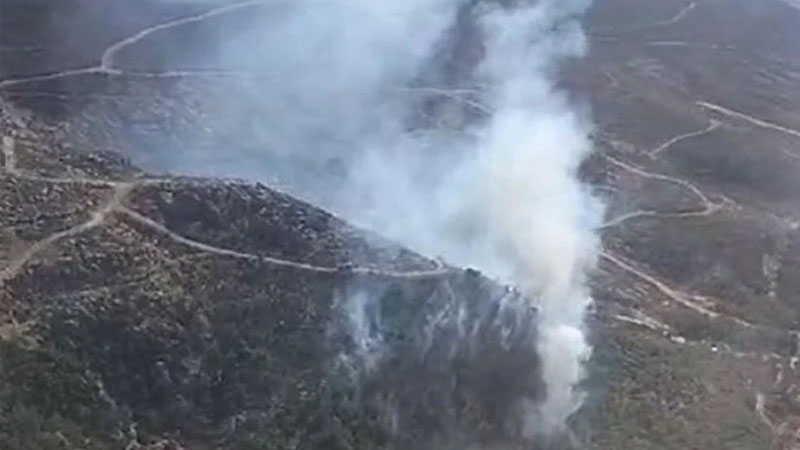 İzmir’de orman yangını