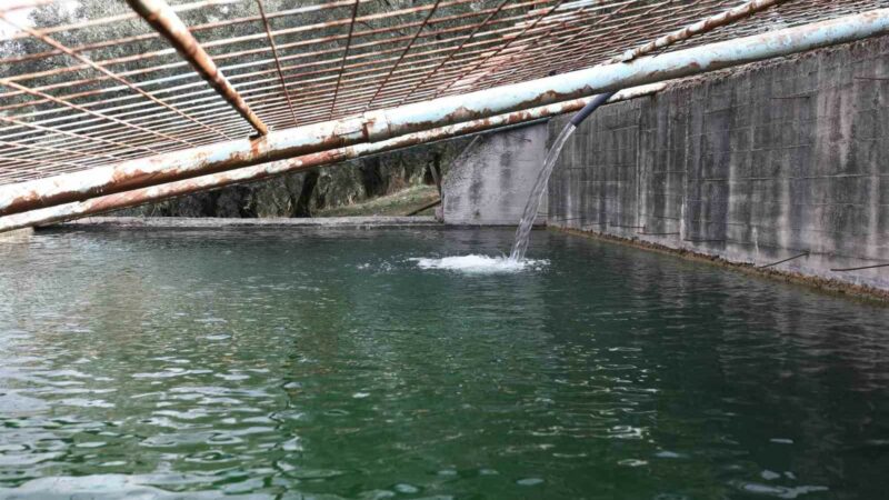Bursa’nın Gemlik ilçesinde, boşa akan iki kaynak suyu bir havuzda
