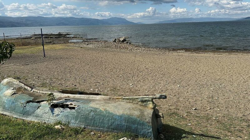 İznik Gölü’nde tehlike çanları Türkiye’nin en büyük 5'inci doğal gölü olan İznik Gölü, son