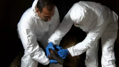 Türkiye’de bir mahalle karantina altına alındı!