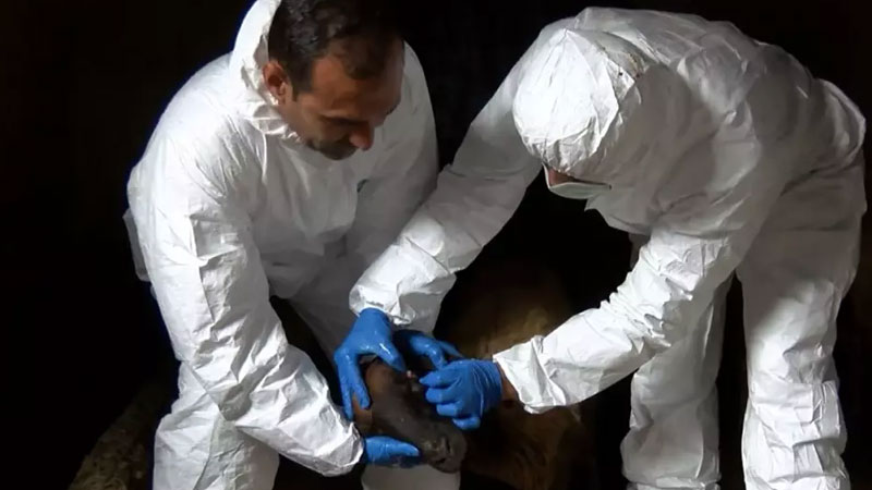 Türkiye’de bir mahalle karantina altına alındı!