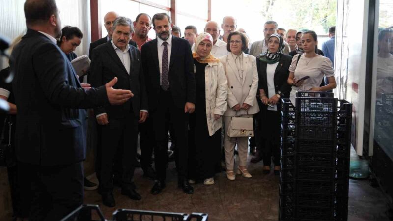 Kendi ürettikleri meyve kasasından 3 milyon lira tasarruf ettiler Bursa’daki Ağaköy Tarımsal Kalkınma Kooperatifi, kurduğu tesisle her yıl çöpe