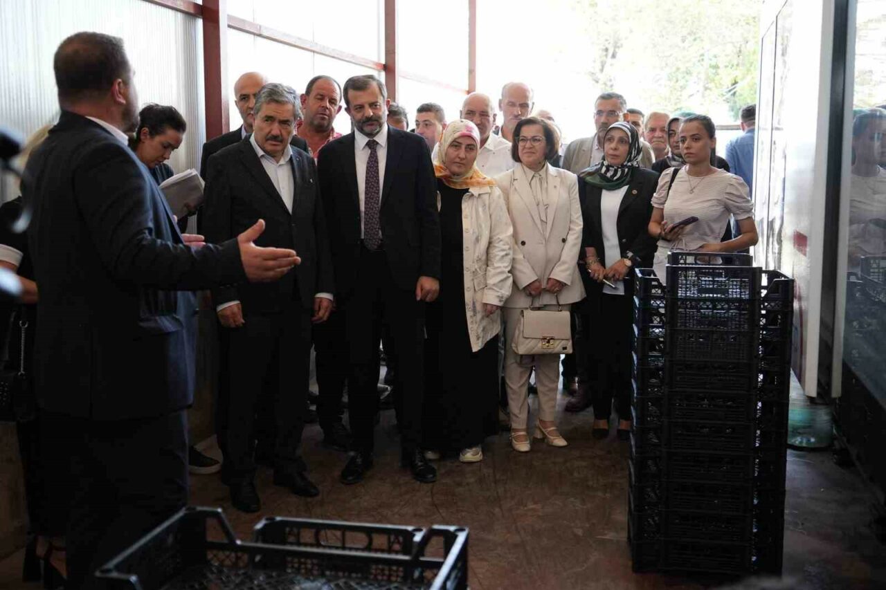 Kendi ürettikleri meyve kasasından 3 milyon lira tasarruf ettiler Kendi ürettikleri meyve kasasından 3 milyon lira tasarruf ettiler