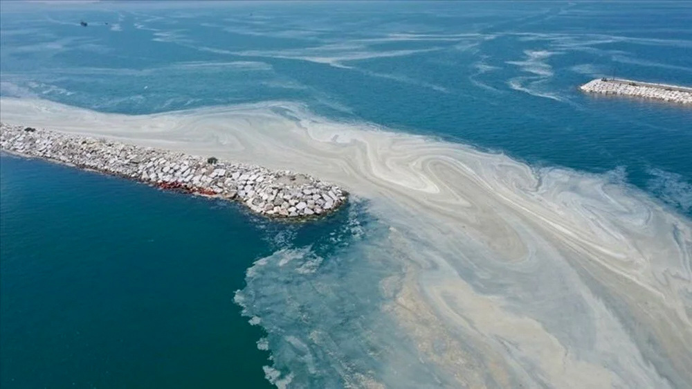 Marmara’da sessiz tehlike