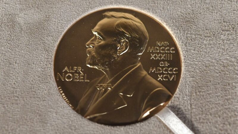 2024 Nobel Edebiyat Ödülü'nü "şiirsel düzyazısı nedeniyle" Güney Koreli roman