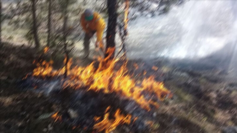 Bursa'nın Orhaneli ilçesinde ormanlık alanda çıkan yangın ekiplerin müdahalesiyle söndürüldü.