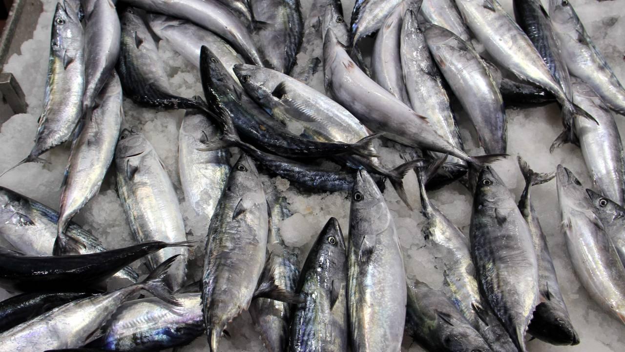 Hava koşulları balık fiyatlarını vurdu
