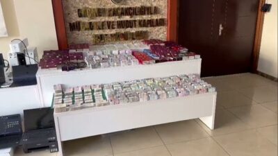 Sahte pasaport şebekesi çökertildi