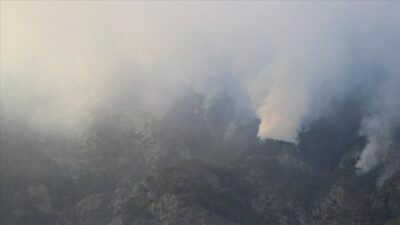 Denizli’de orman yangını! Müdahale sürüyor