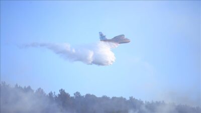 Muğla’da orman yangınları