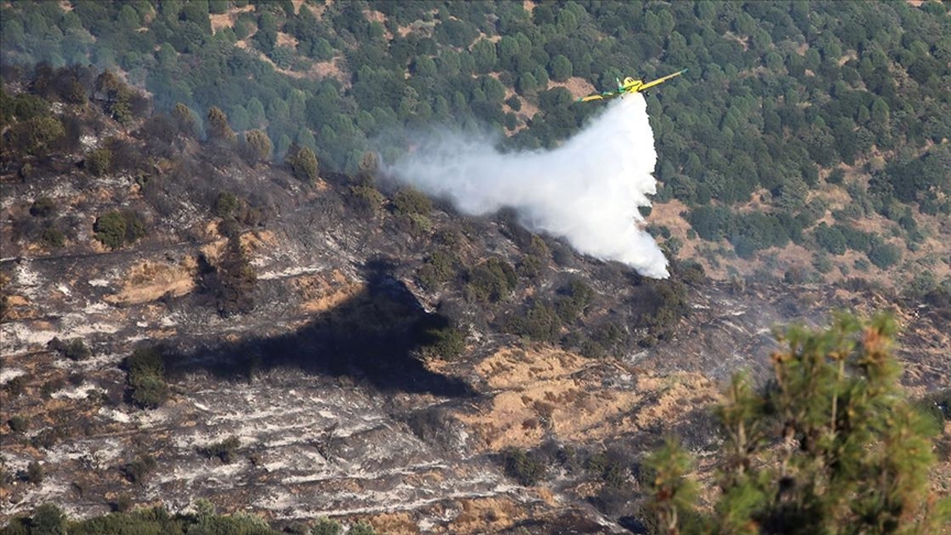 Aydın’da orman yangını! Kontrol altına alındı