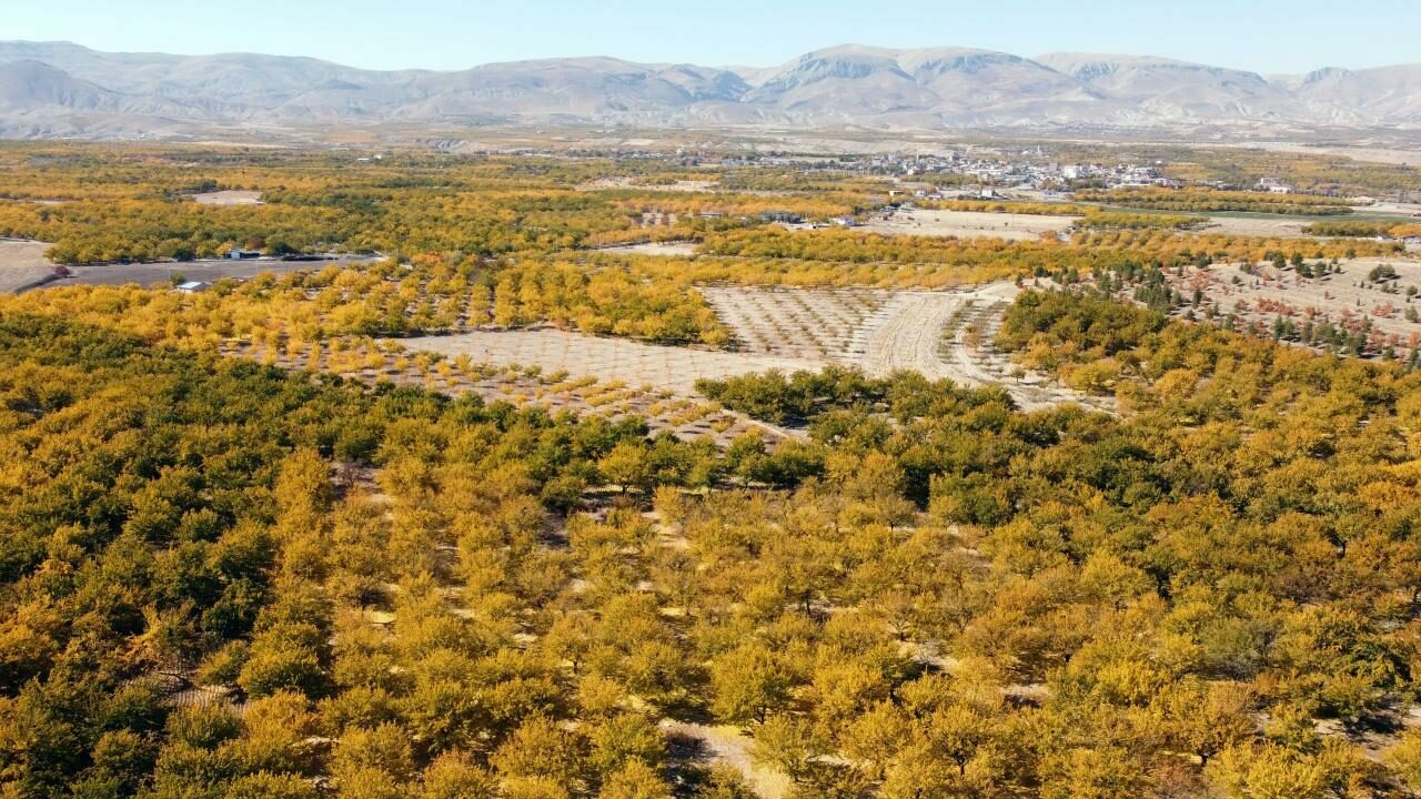 Resmi Gazete’de yayımlandı! 28 ova için flaş karar