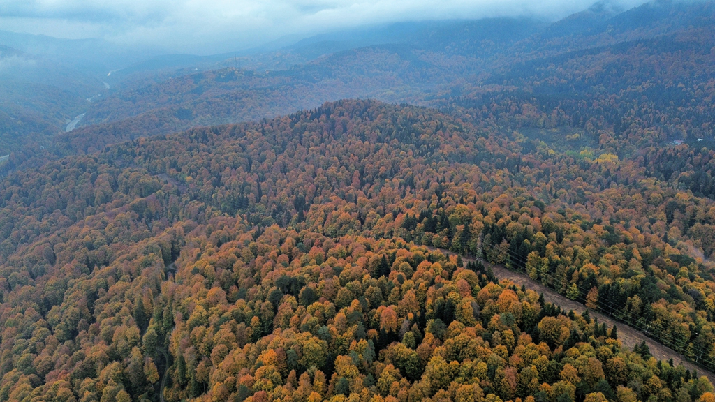 Bursa’dan büyüleyen görüntüler! Sonbahar renklerine büründü Bursa’dan büyüleyen görüntüler! Sonbahar renklerine büründü