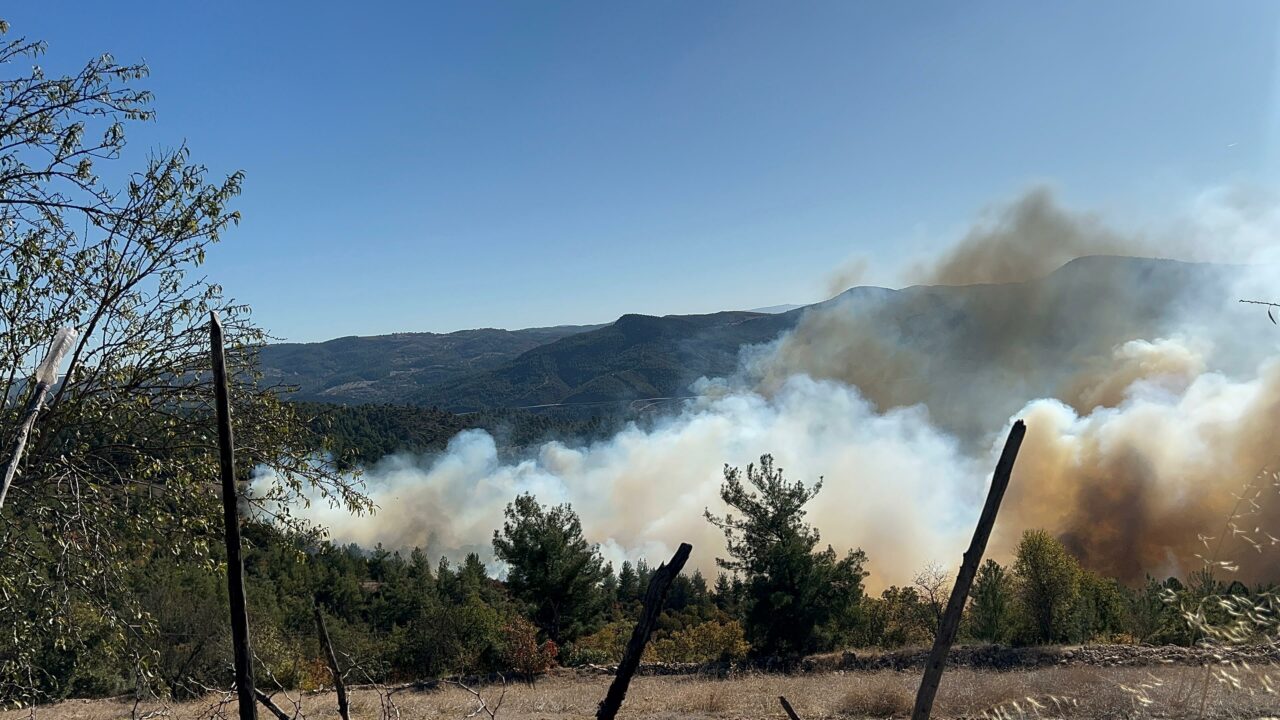 Bursa’da iki ilçede orman yangını Bursa’da iki ilçede orman yangını