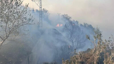 İki ilde orman yangını: Alevler evlere sıçradı