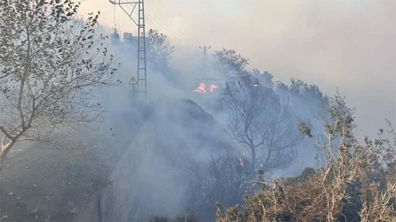 İki ilde orman yangını: Alevler evlere sıçradı