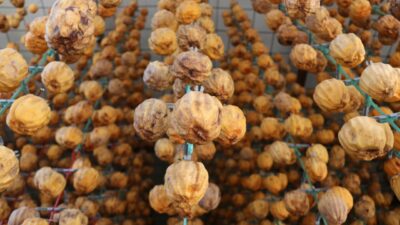 Vitamin ve mineral kaynağı! Türkiye’nin dört bir tarafına satılıyor…