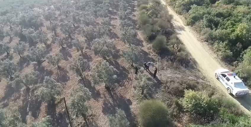 Bursa’da zeytin nöbeti Bursa’da zeytin nöbeti