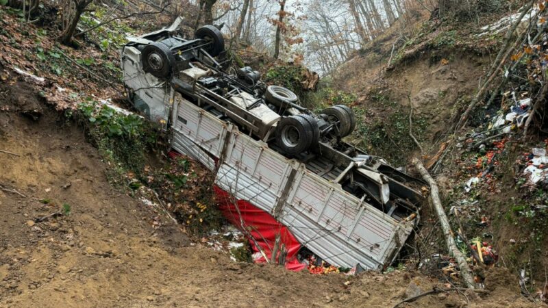 Bursa’da kamyon ormana uçtu! Bursa’nın İznik ilçesinde meydana gelen trafik kazasında sürücüsünün direksiyon hakimiyetini