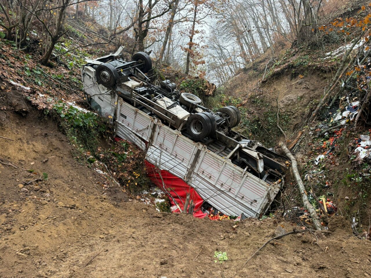 Bursa’da kamyon ormana uçtu!