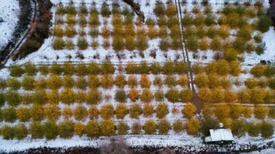 Bursa’da sonbahar renkleri kar ile buluştu
