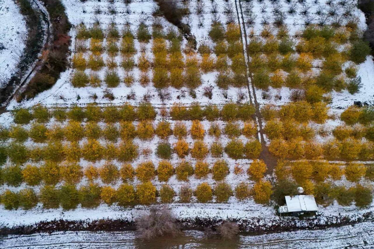 Bursa’da sonbahar renkleri kar ile buluştu