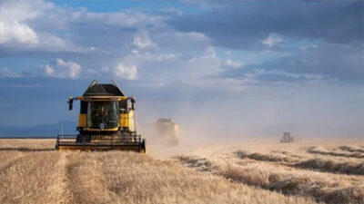 Çiftçiye müjde! Bakanlık açıkladı…