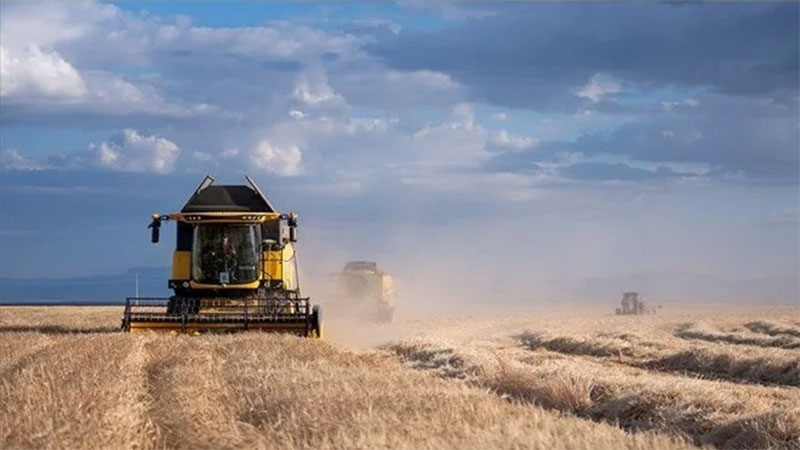 Çiftçiye müjde! Bakanlık açıkladı… Çiftçiye müjde! Bakanlık açıkladı…