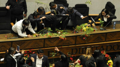 Mecliste domatesli saldırı: Başkanı konuşturmadılar