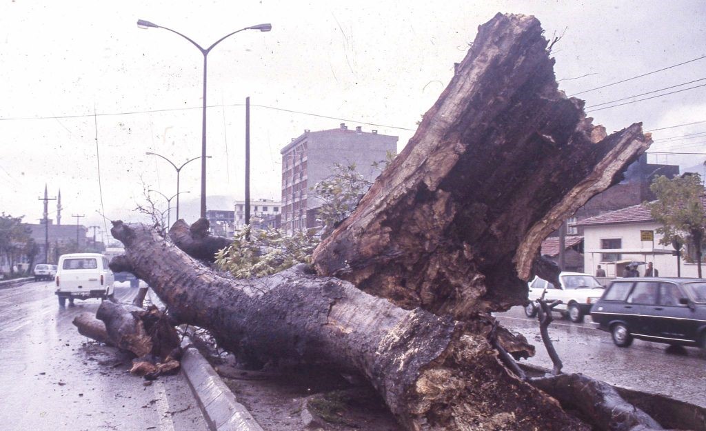 Bursa’nın 659 yıllık simgesi Uludağ Üniversitesi’nde sergileniyor Bursa’nın 659 yıllık simgesi Uludağ Üniversitesi’nde sergileniyor