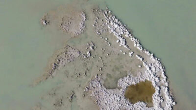 Kuş cennetini kuraklık vurdu, mikrobiyalitler göründü