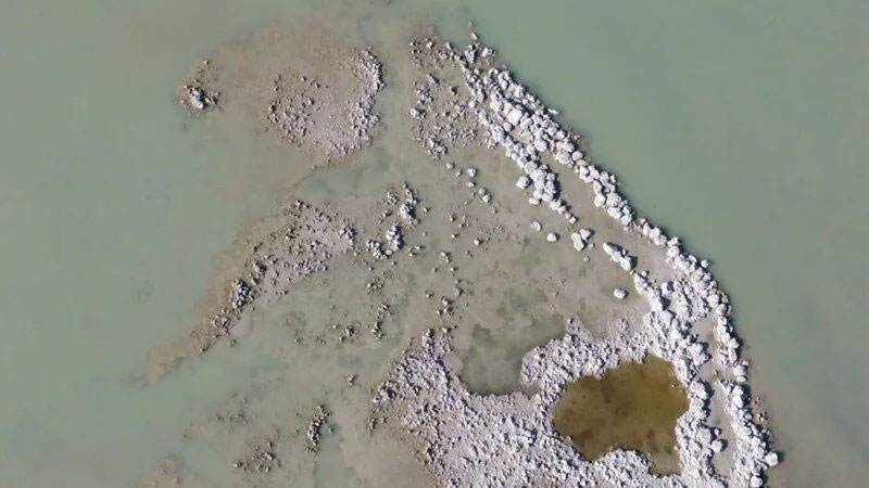 Kuş cennetini kuraklık vurdu, mikrobiyalitler göründü Kuş cennetini kuraklık vurdu, mikrobiyalitler göründü