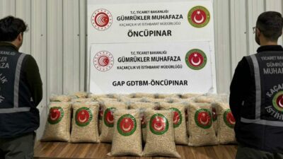 Gümrük Muhafaza ekipleri kaçakçılara göz açtırmadı