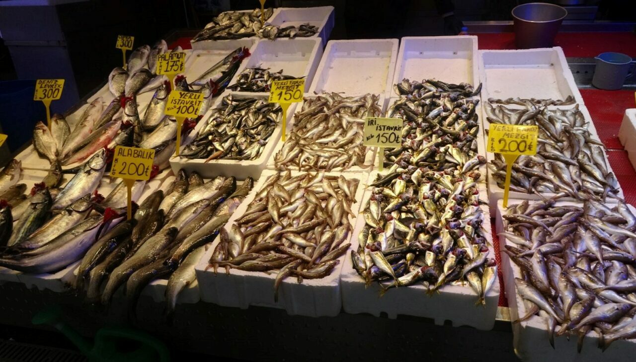 Hava muhalefeti hamsiyi vurdu! Fiyatı neredeyse 2 kat arttı Hava muhalefeti hamsiyi vurdu! Fiyatı neredeyse 2 kat arttı