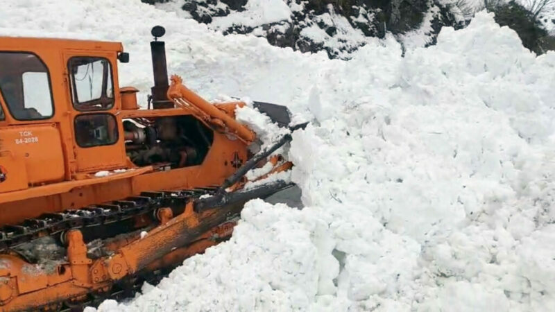 Artvin'in Borçka ilçesinde meydana gelen çığ nedeniyle 6 köye ulaşım