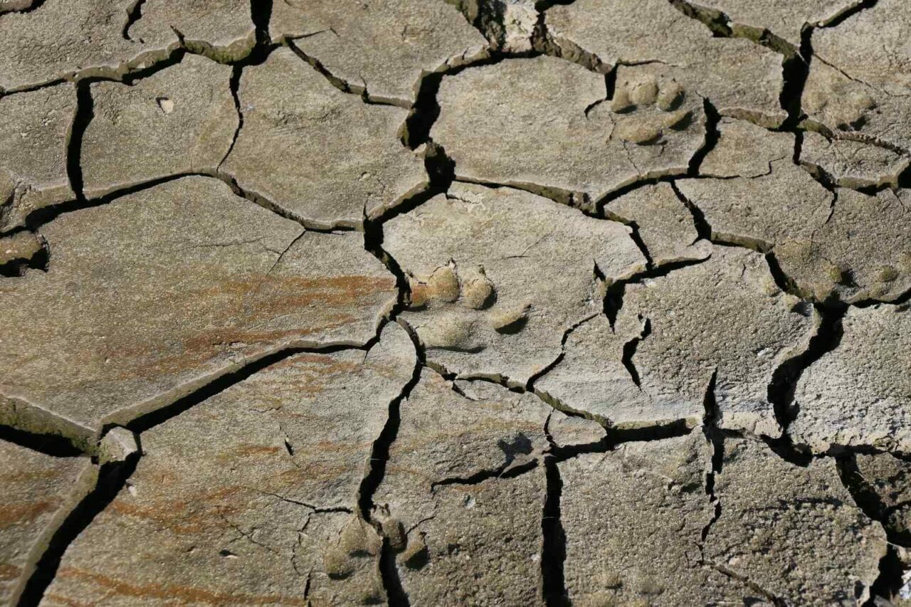 Bursa’da büyük tehlike: Susuzluk kapıda! Bursa’da büyük tehlike: Susuzluk kapıda!
