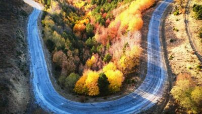 Kavakların sonbaharda büründüğü renkler büyüledi