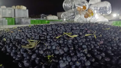 Bursa’da zeytinyağı kuyruğu! Fiyatlar düşecek mi?