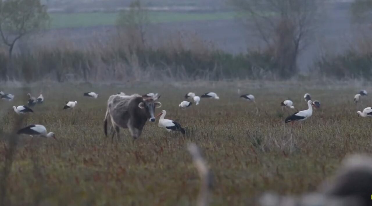 Bursa’da şok etkisi yaratan karardan dönülüyor mu?