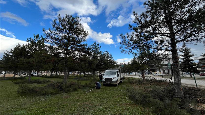 Bursa İnegöl’de yeşil alanlar bakıma alındı Bursa İnegöl’de yeşil alanlar bakıma alındı