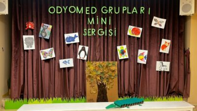 Odyomed İşitme ve Konuşma Merkezi, işitme kayıplı ve konuşma bozukluğu