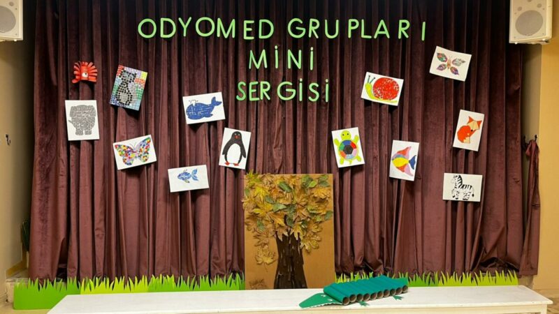 Odyomed İşitme ve Konuşma Merkezi, işitme kayıplı ve konuşma bozukluğu