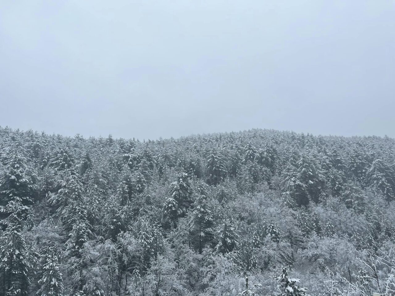 Bursa Keles beyaza büründü