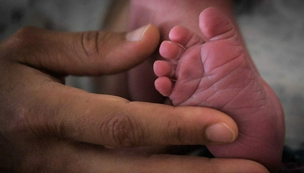 Avrupa ölüyor: Uzmanlardan ‘kıyamet günü’ uyarısı Avrupa ölüyor: Uzmanlardan ‘kıyamet günü’ uyarısı