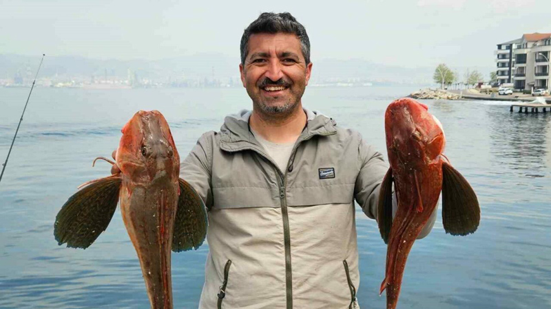 Bursalı amatör balıkçı yakaladı! 6,5 kiloluk… Bursalı amatör balıkçı yakaladı! 6,5 kiloluk…