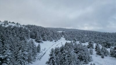 Çankırı’da karla kaplı çam ormanları drone ile görüntülendi